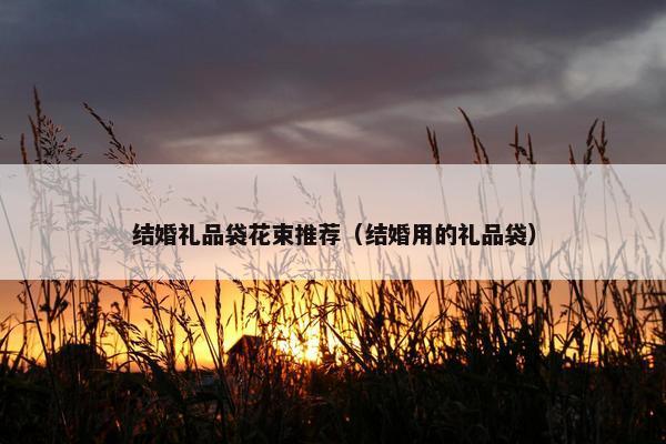 结婚礼品袋花束推荐（结婚用的礼品袋）