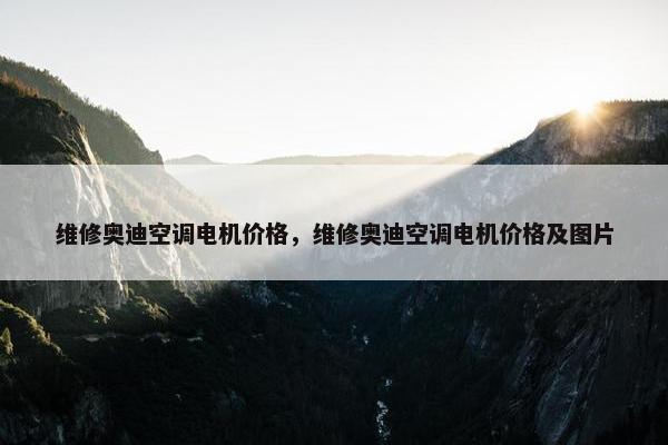 维修奥迪空调电机价格，维修奥迪空调电机价格及图片