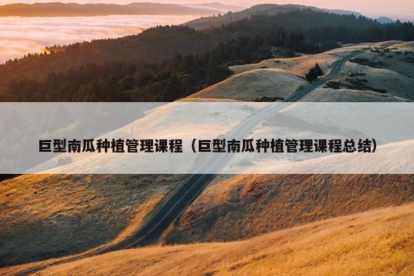 巨型南瓜种植管理课程（巨型南瓜种植管理课程总结）