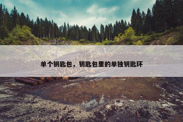 单个钥匙包，钥匙包里的单独钥匙环
