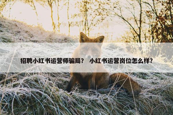 招聘小红书运营师骗局？ 小红书运营岗位怎么样？