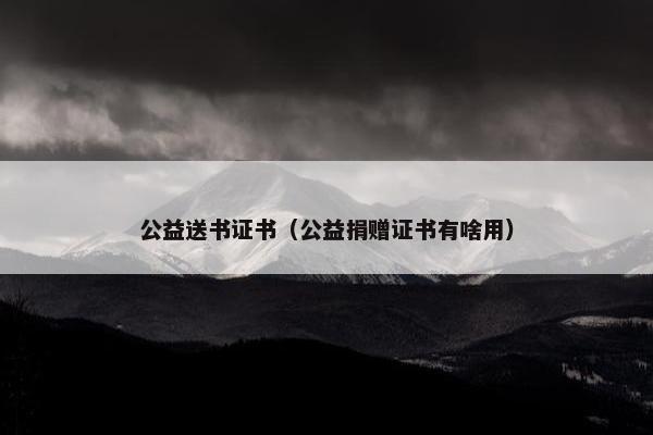 公益送书证书（公益捐赠证书有啥用）