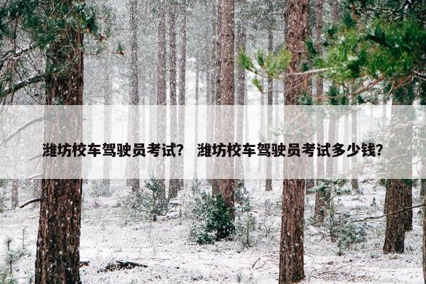 潍坊校车驾驶员考试？ 潍坊校车驾驶员考试多少钱？