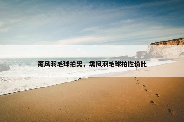 薰风羽毛球拍男，熏风羽毛球拍性价比