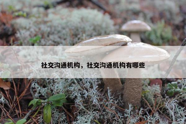 社交沟通机构，社交沟通机构有哪些