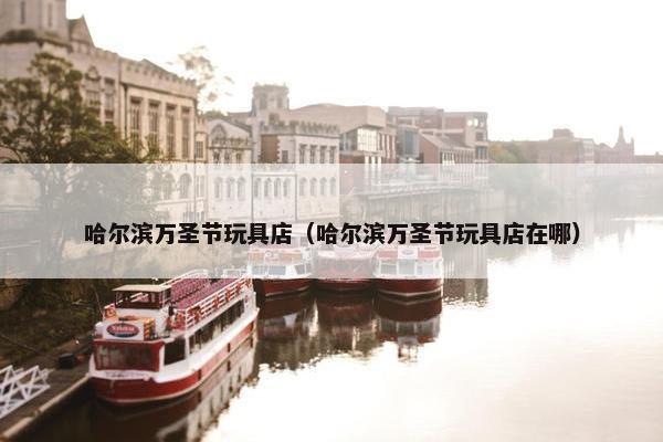 哈尔滨万圣节玩具店（哈尔滨万圣节玩具店在哪）