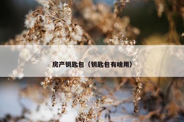 房产钥匙包（钥匙包有啥用）