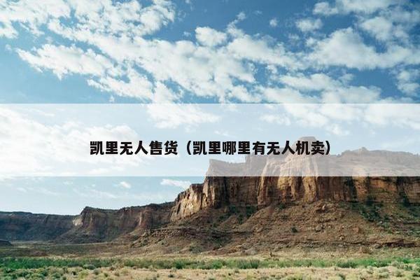 凯里无人售货（凯里哪里有无人机卖）