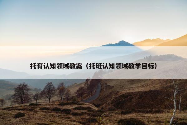 托育认知领域教案（托班认知领域教学目标）