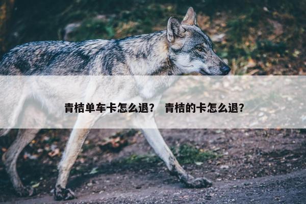 青桔单车卡怎么退？ 青桔的卡怎么退？
