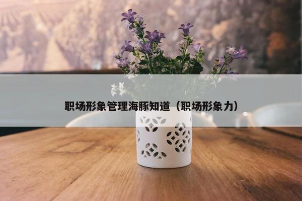 职场形象管理海豚知道（职场形象力）