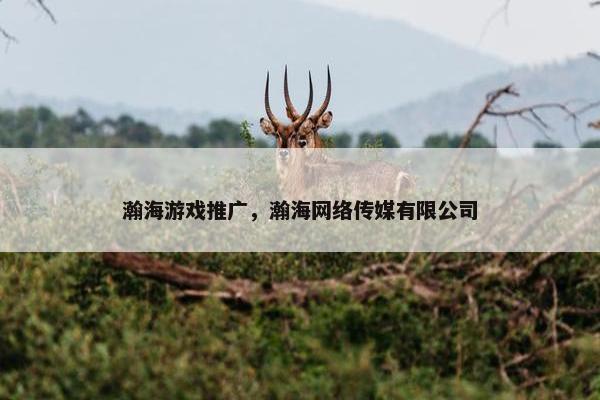 瀚海游戏推广，瀚海网络传媒有限公司