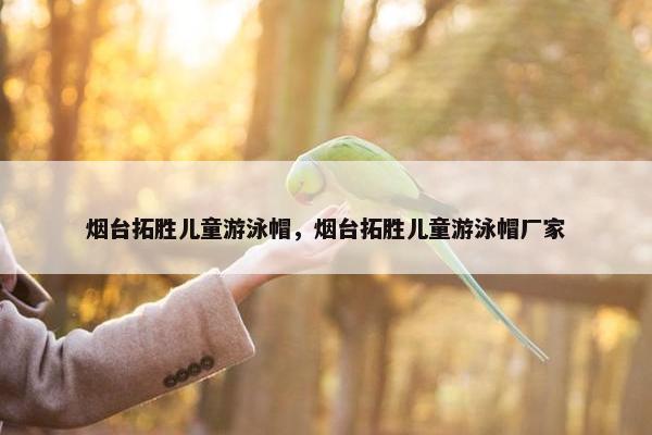 烟台拓胜儿童游泳帽，烟台拓胜儿童游泳帽厂家