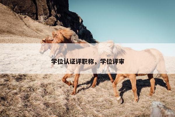 学位认证评职称，学位评审