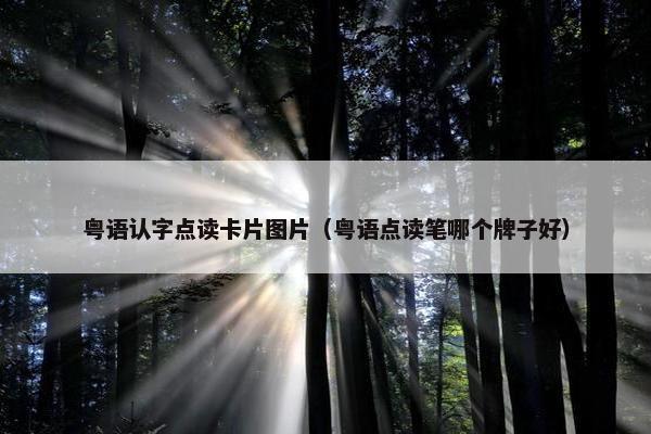 粤语认字点读卡片图片（粤语点读笔哪个牌子好）