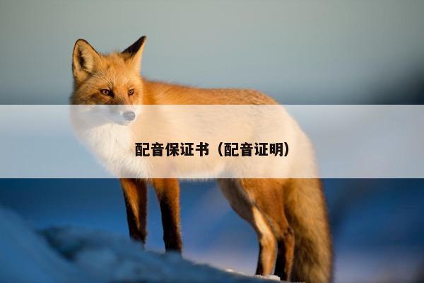配音保证书（配音证明）