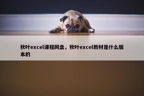 秋叶excel课程网盘，秋叶excel教材是什么版本的