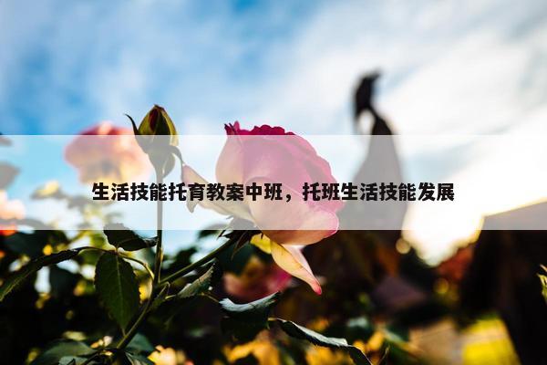 生活技能托育教案中班，托班生活技能发展