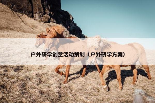 户外研学创意活动策划（户外研学方案）
