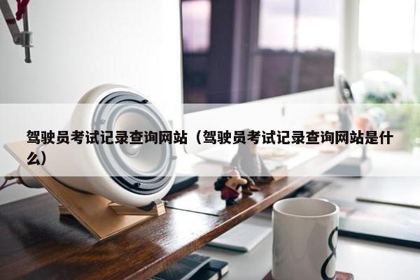 驾驶员考试记录查询网站（驾驶员考试记录查询网站是什么）