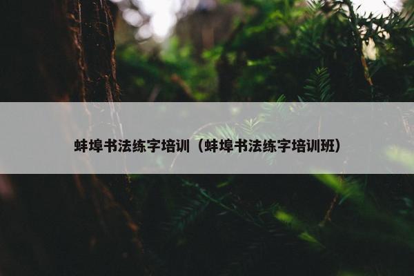 蚌埠书法练字培训（蚌埠书法练字培训班）
