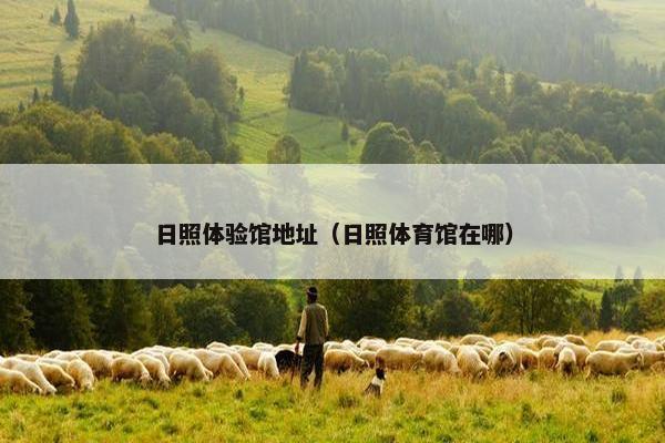 日照体验馆地址（日照体育馆在哪）