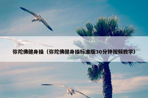 弥陀佛健身操（弥陀佛健身操标准版30分钟视频教学）