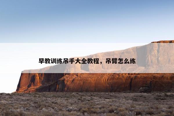 早教训练吊手大全教程，吊臂怎么练