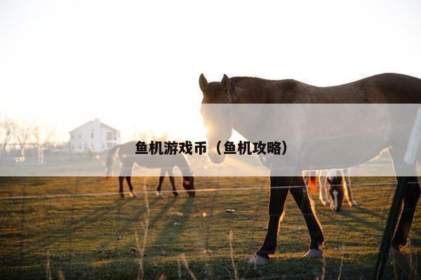 鱼机游戏币（鱼机攻略）