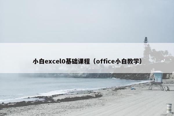 小白excel0基础课程（office小白教学）