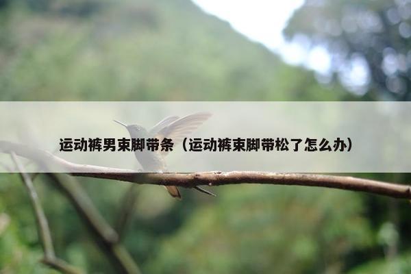 运动裤男束脚带条（运动裤束脚带松了怎么办）