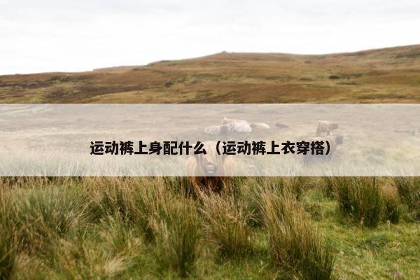 运动裤上身配什么（运动裤上衣穿搭）