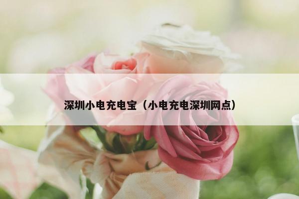 深圳小电充电宝（小电充电深圳网点）