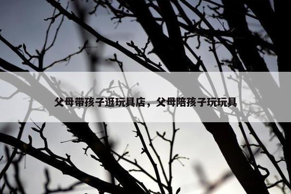 父母带孩子逛玩具店，父母陪孩子玩玩具