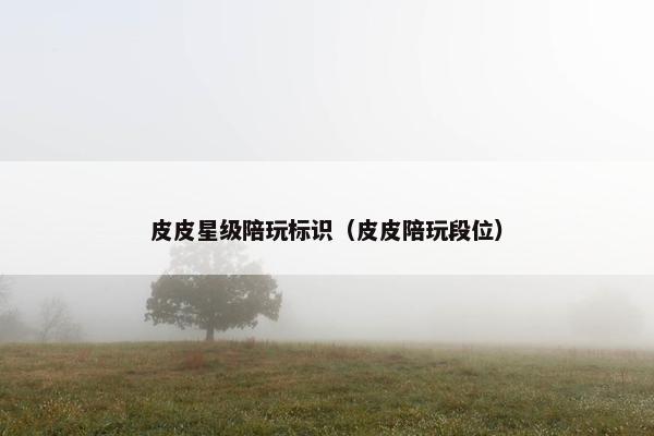 皮皮星级陪玩标识（皮皮陪玩段位）