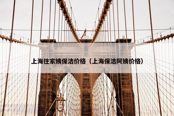 上海住家姨保洁价格（上海保洁阿姨价格）