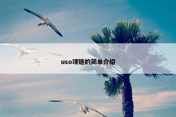 uso项链的简单介绍