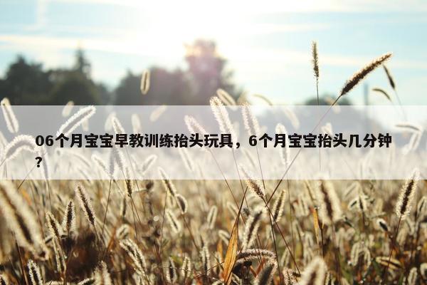 06个月宝宝早教训练抬头玩具，6个月宝宝抬头几分钟?