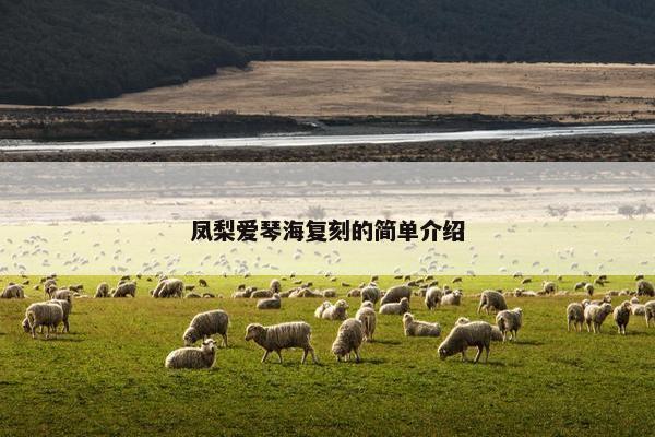 凤梨爱琴海复刻的简单介绍