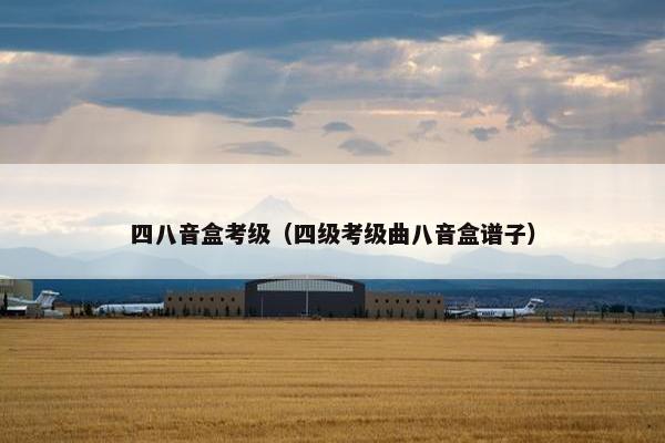 四八音盒考级（四级考级曲八音盒谱子）