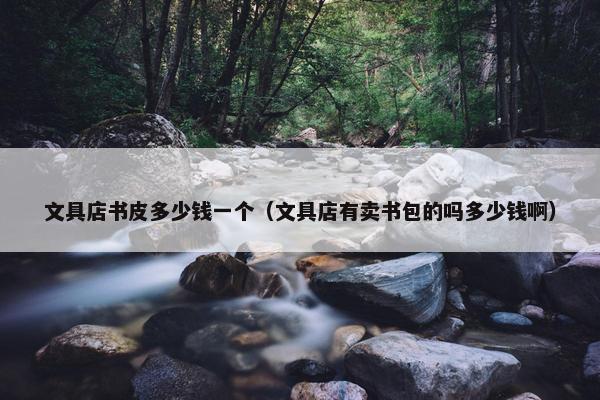 文具店书皮多少钱一个（文具店有卖书包的吗多少钱啊）