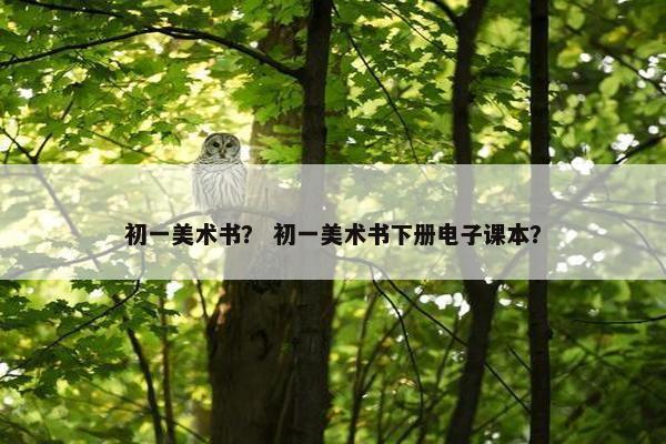 初一美术书？ 初一美术书下册电子课本？