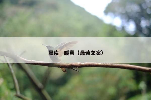晨读　暖意（晨读文案）