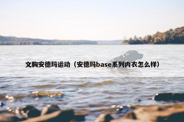 文胸安德玛运动（安德玛base系列内衣怎么样）