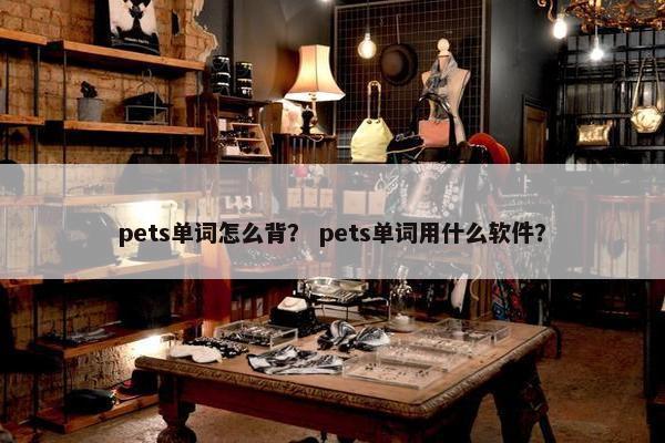 pets单词怎么背？ pets单词用什么软件？