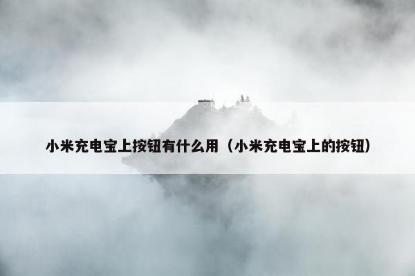 小米充电宝上按钮有什么用（小米充电宝上的按钮）