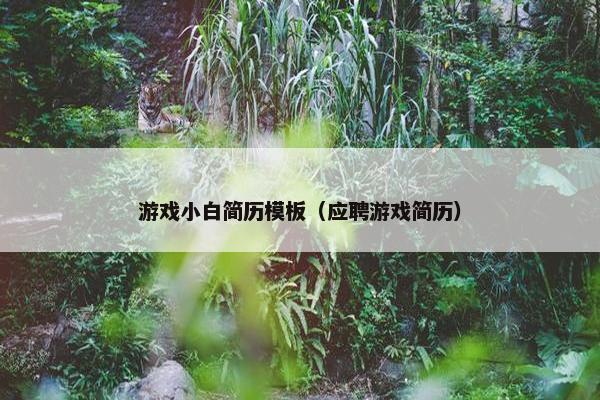 游戏小白简历模板（应聘游戏简历）