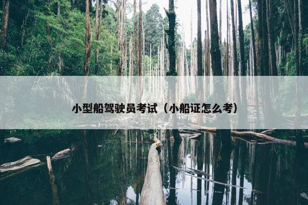 小型船驾驶员考试（小船证怎么考）