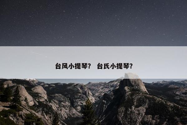 台风小提琴？ 台氏小提琴？