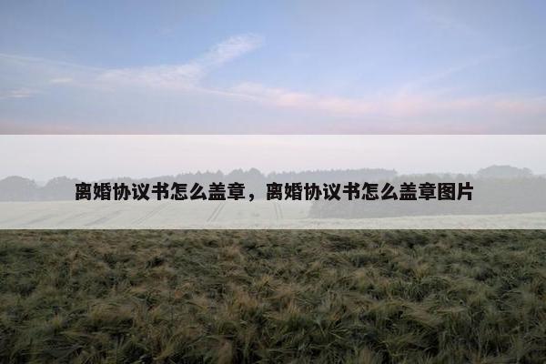 离婚协议书怎么盖章，离婚协议书怎么盖章图片